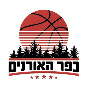 ליגות כדורסל