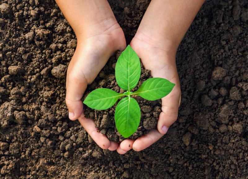 שלישי קהילתי שדרות בפארק
