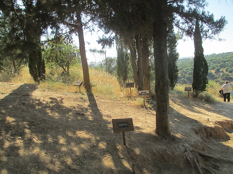 שביל ישראל - מצודת כ"ח נחל דישון 