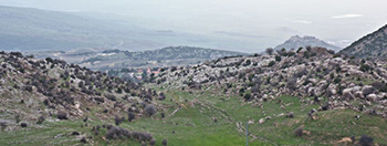 טיול קואליציית השותפים
