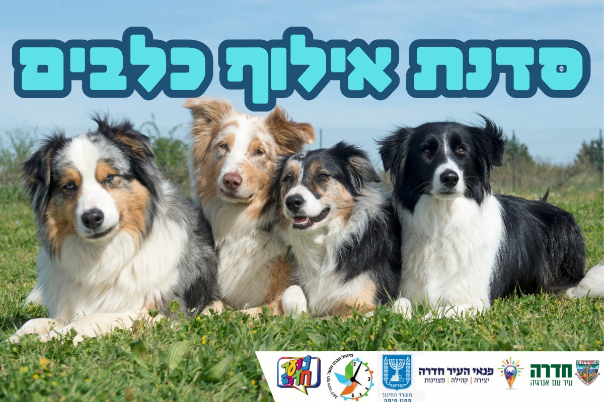 מדברים עם כלבים בעין הים - כיתות ז-ט