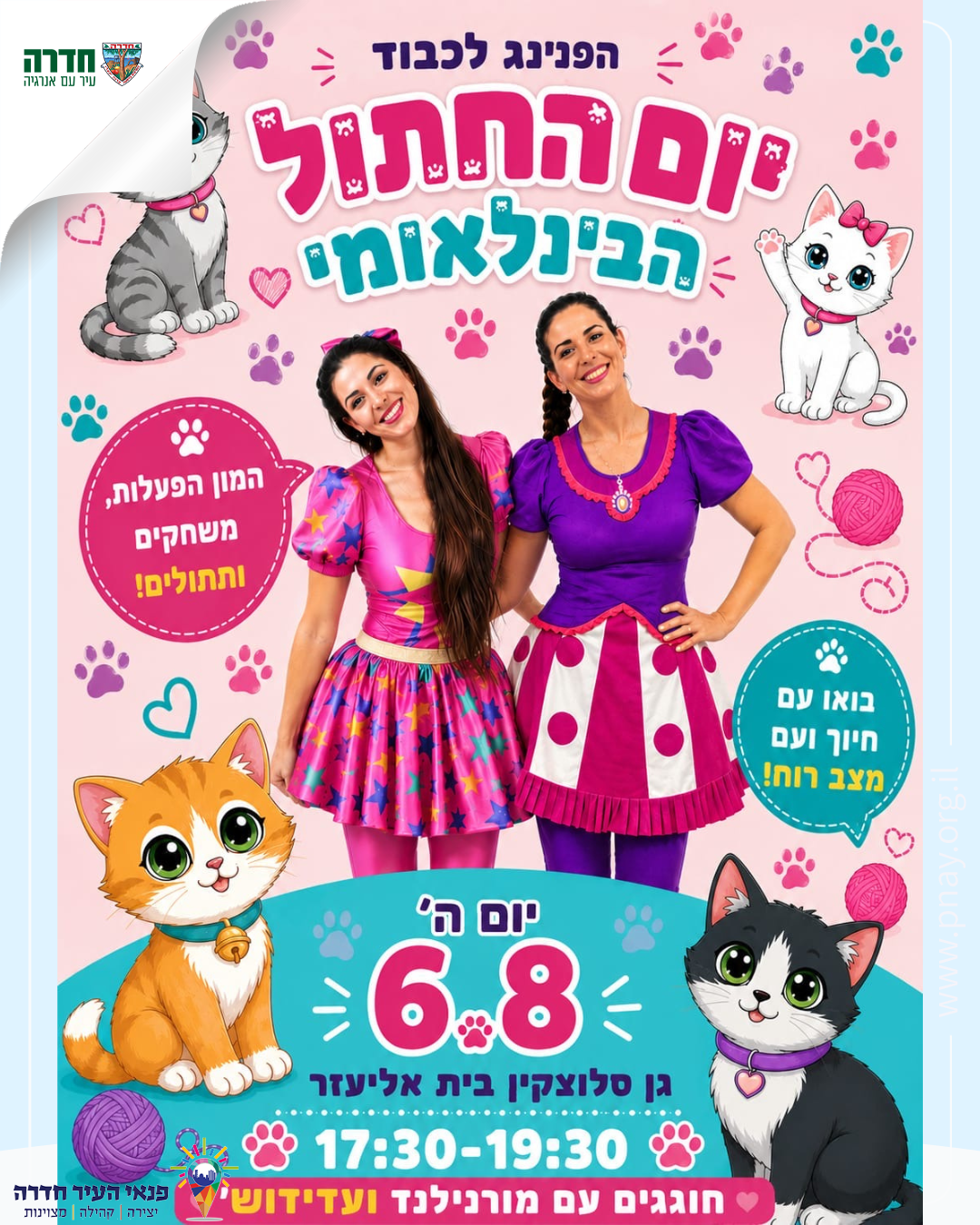 חוגגים את יום החתול הבינלאומי