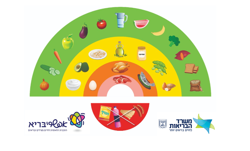 המלצות תזונה – קשת המזון
