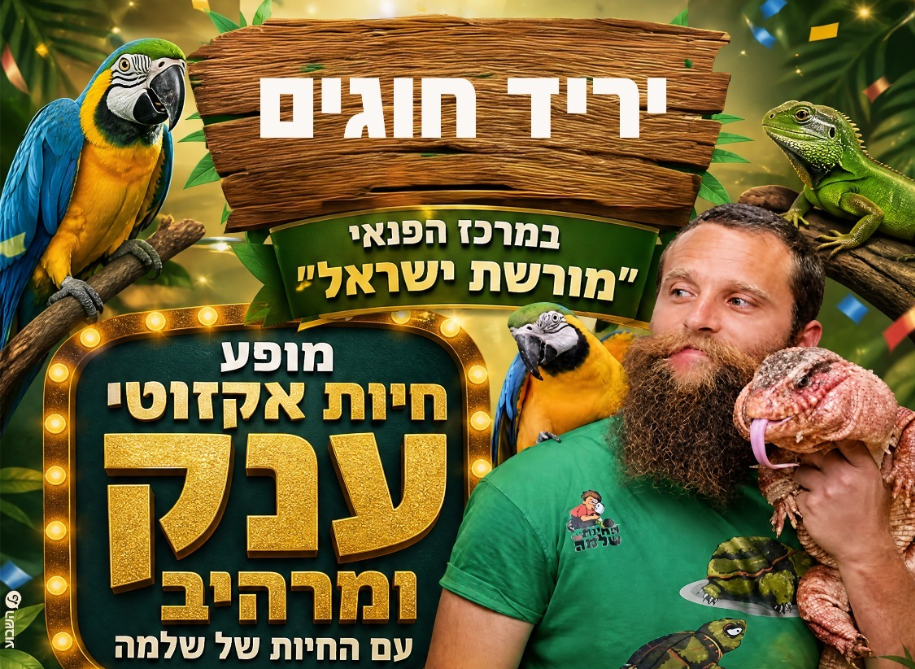 יריד חוגים עם מופע חיות אקזוטי