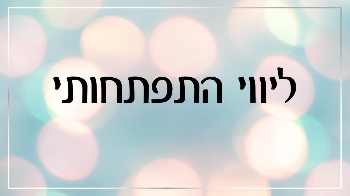 ליווי התפתחותי- לתינוקות