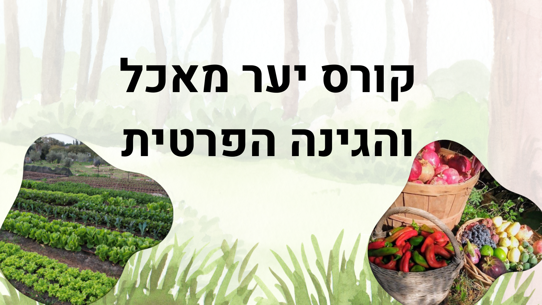 קורס יער מאכל מתן