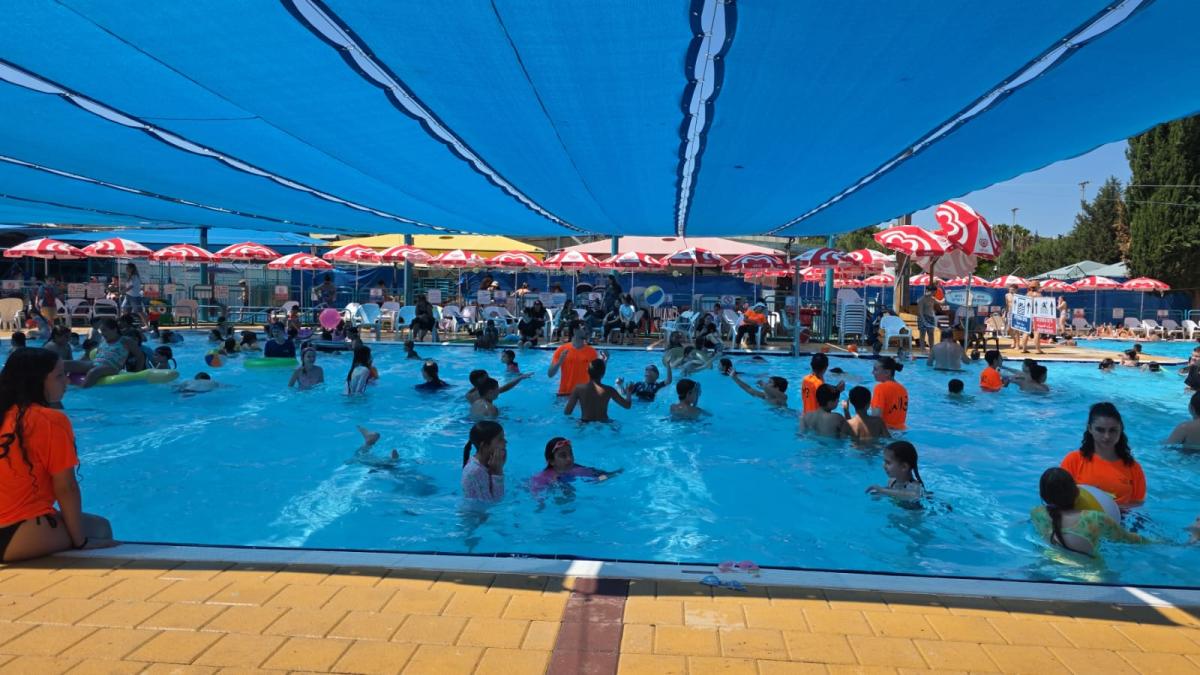 הבריכה הקייצית של "טופ קלאב"