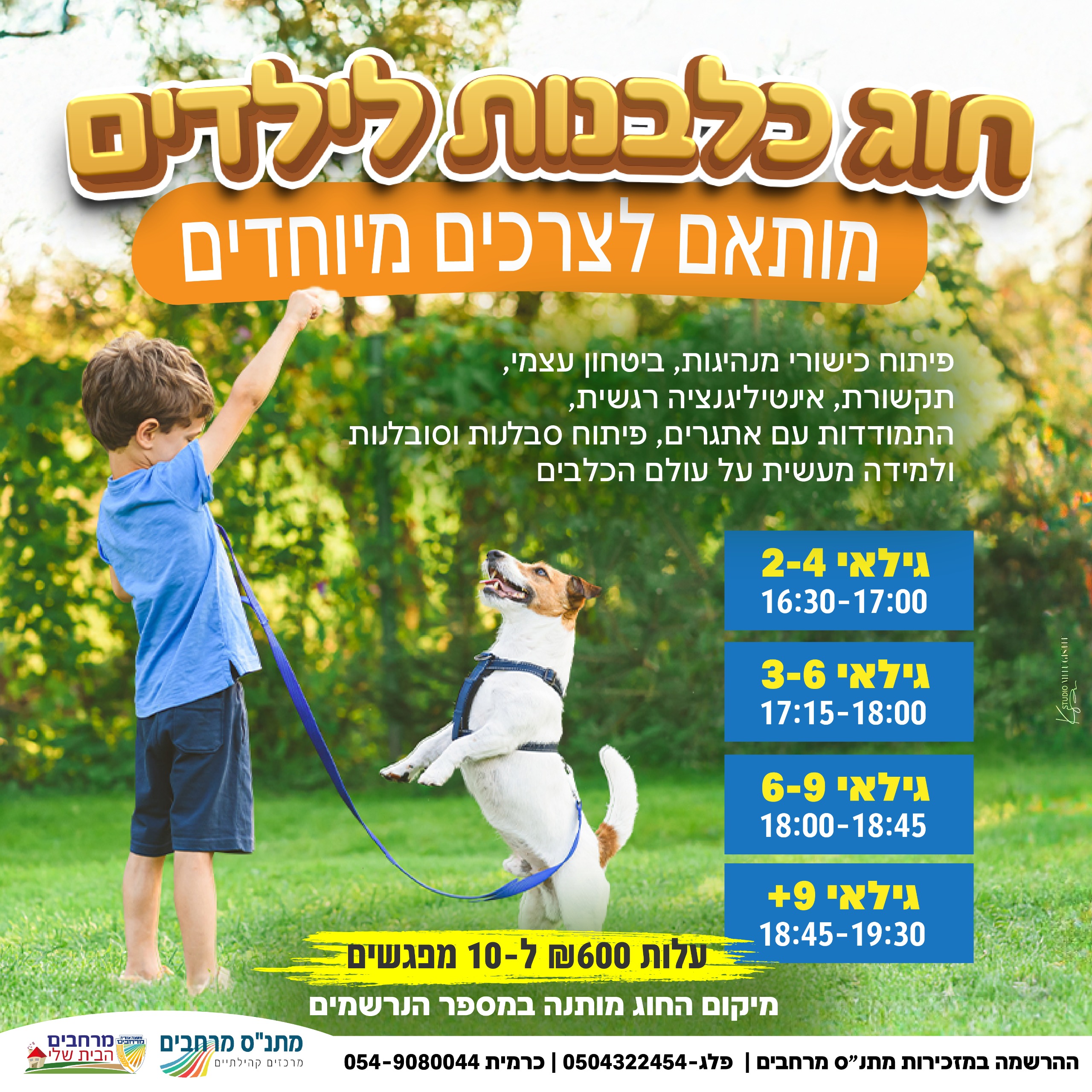 תמונת אווירה