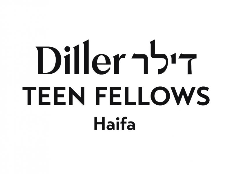 תוכנית עמיתי דילר תשפ"ו