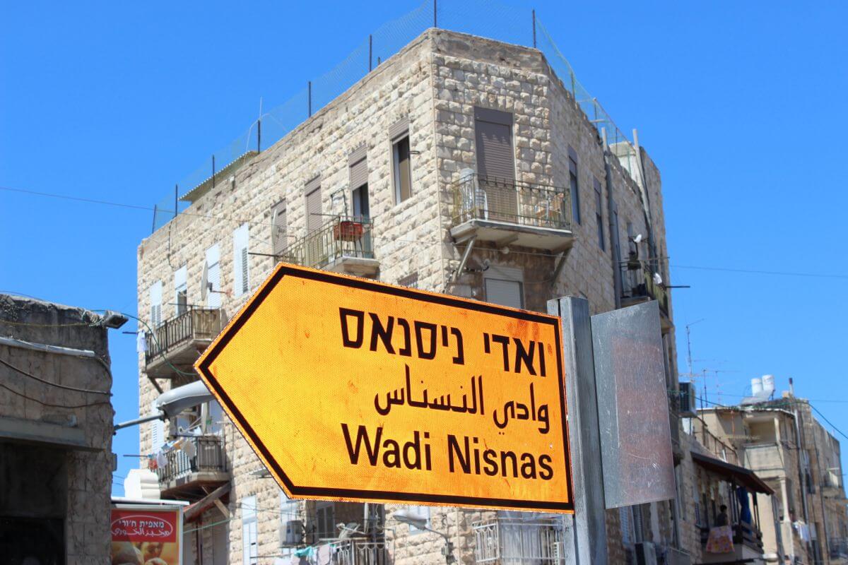 סיור רגלי ואדי ניסנס חיפה עם יבגני דוידוב