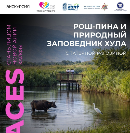   ראש-פינה + שמורת הטבע חולה: צפון ישראל ביום אחד 27/03/2026 Рош-Пина + природный заповедник Хула: север Израиля за один день