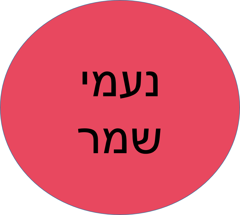 ביה"ס של החגים חנוכה תשפ"ו- נעמי שמר