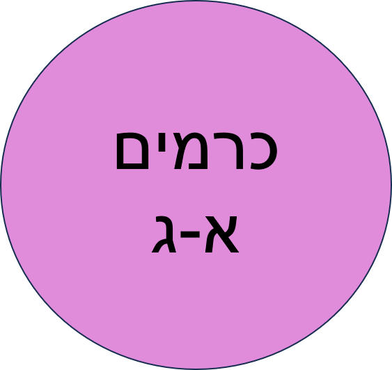 ביה"ס של החגים חנוכה תשפ"ו- כרמים