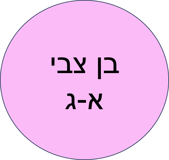 ביה"ס של החגים חנוכה תשפ"ו- בן צבי