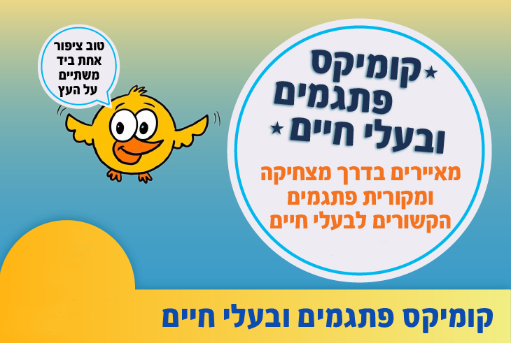 קומיקס פתגמים ובעלי חיים 