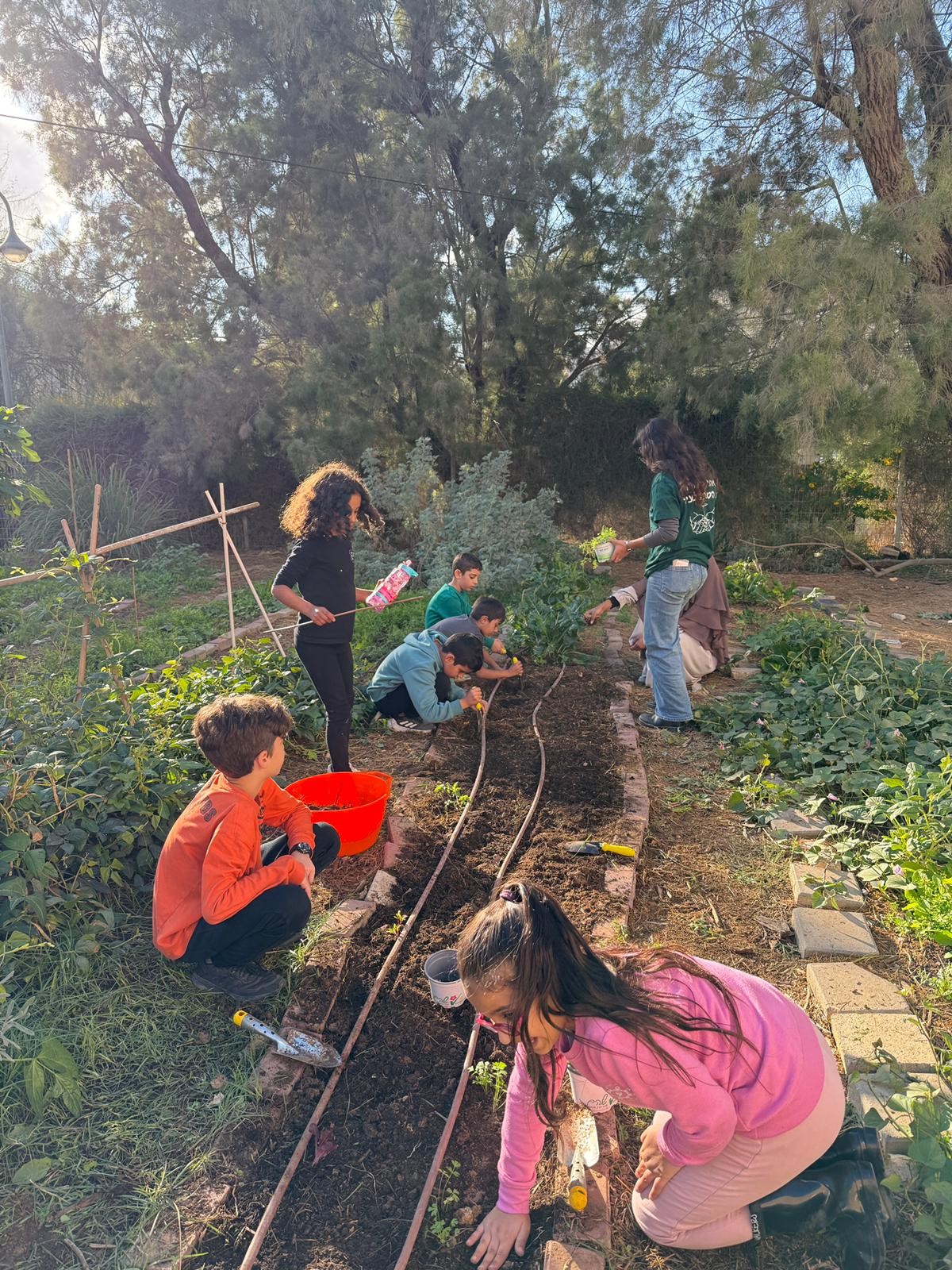 צהרון כיתה ד - שבוע מלא