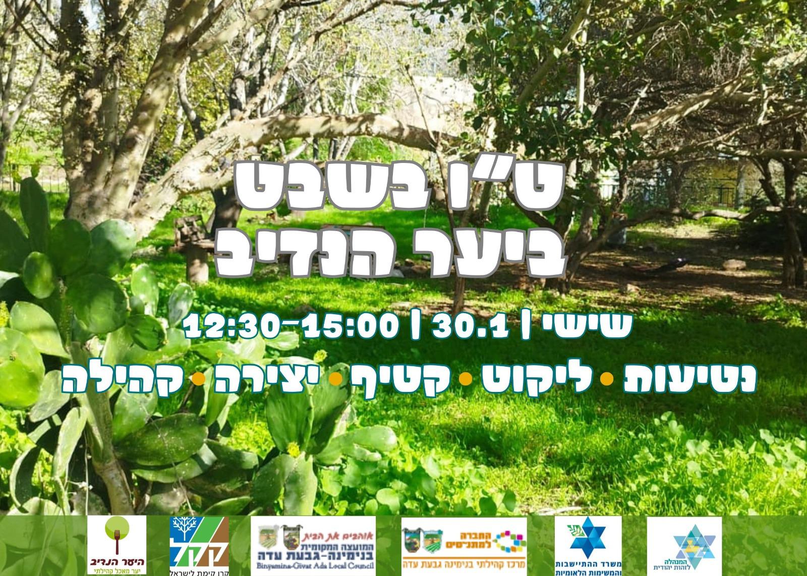 ט"ו בשבט - ביער הנדיב 