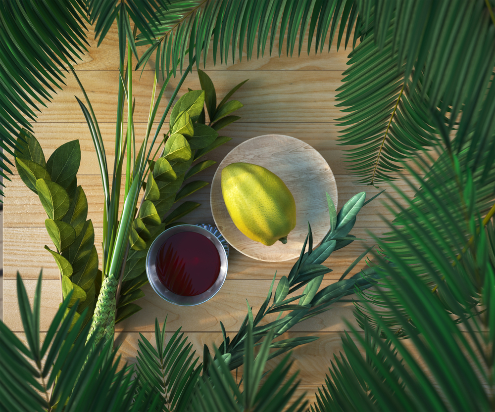 קייטנת על גלגלים