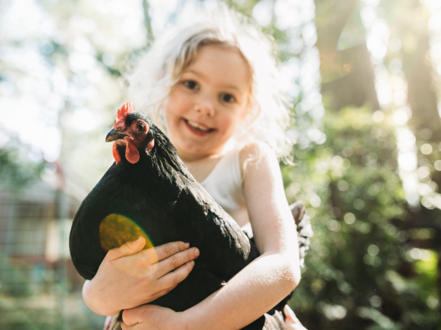 חוות החיות נאות הרצל 15.1