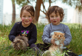 חוות החיות נאות הרצל 12.3