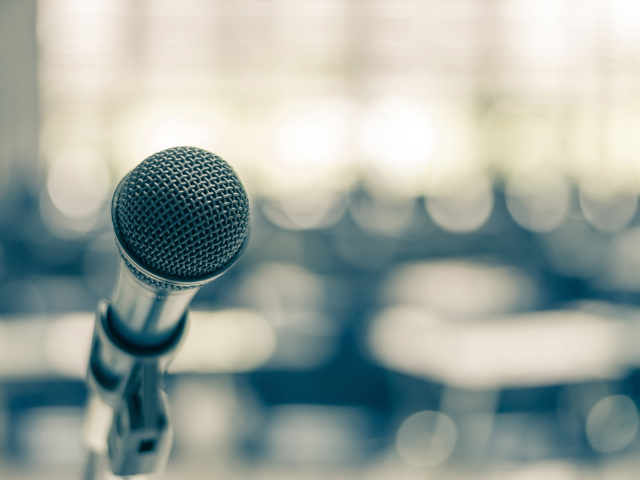 הרצאה תאיר גולן