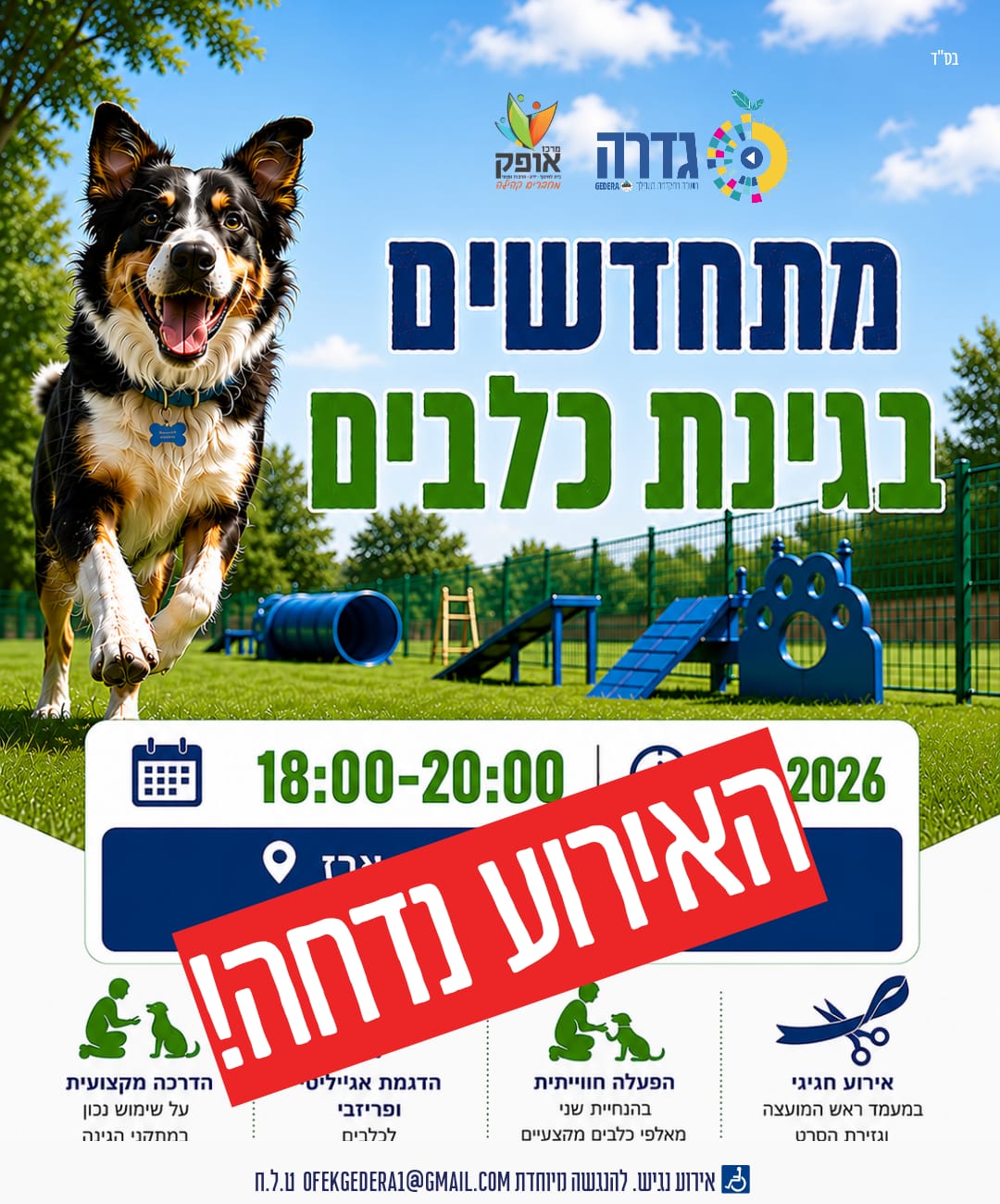 מתחדשים בגינת כלבים