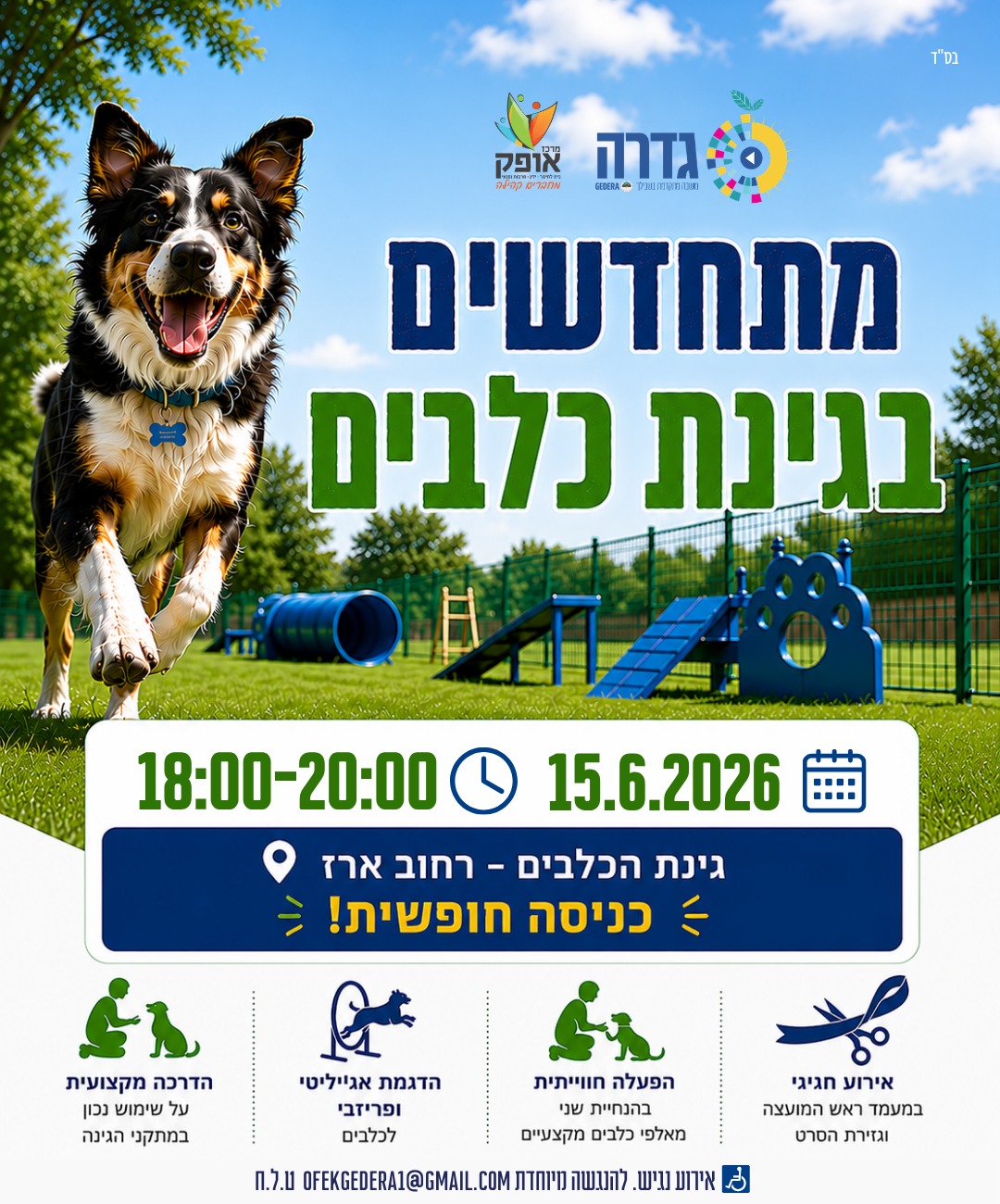 מתחדשים בגינת כלבים
