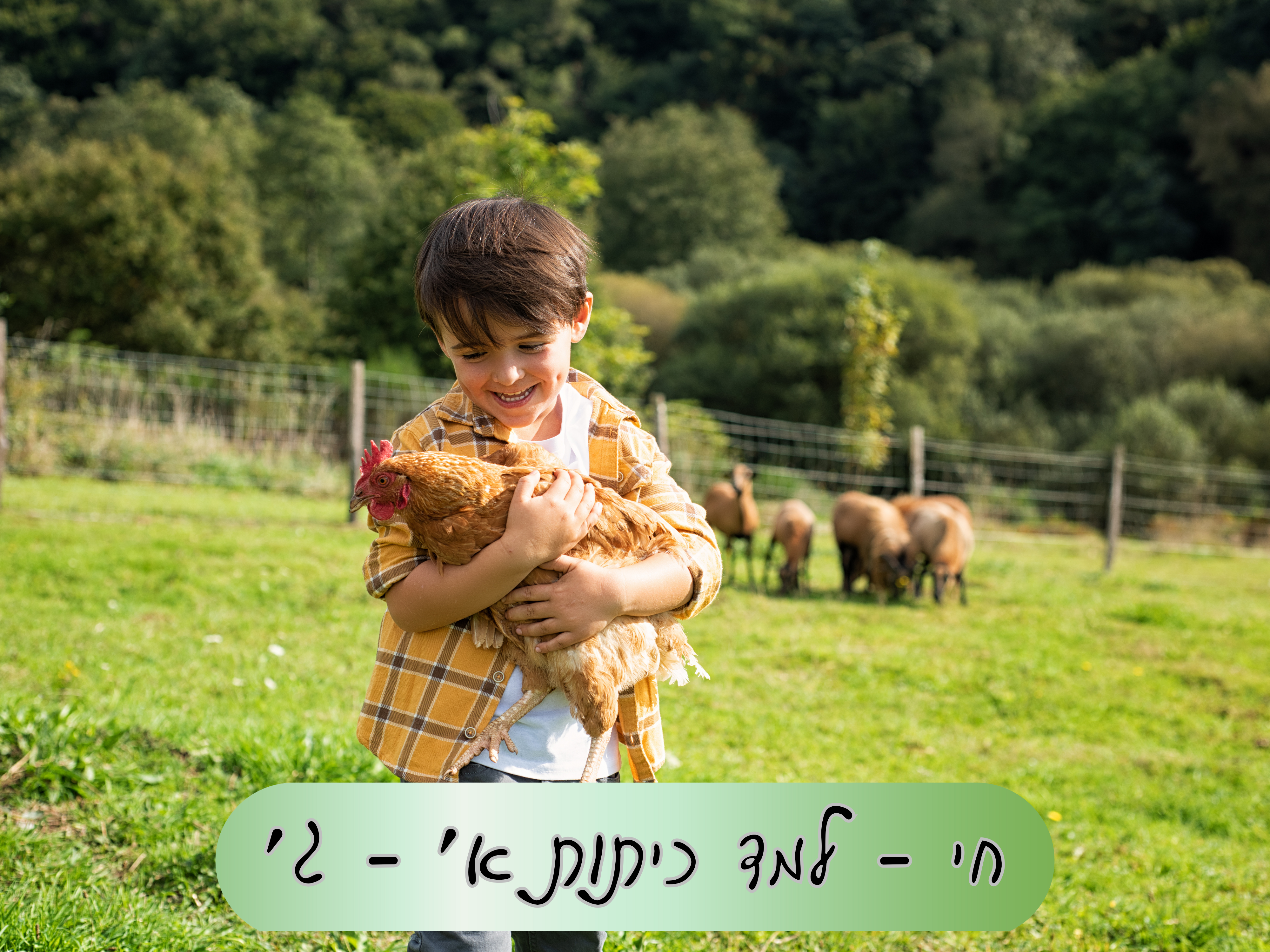 חי למד- כיתות א' - ג'
