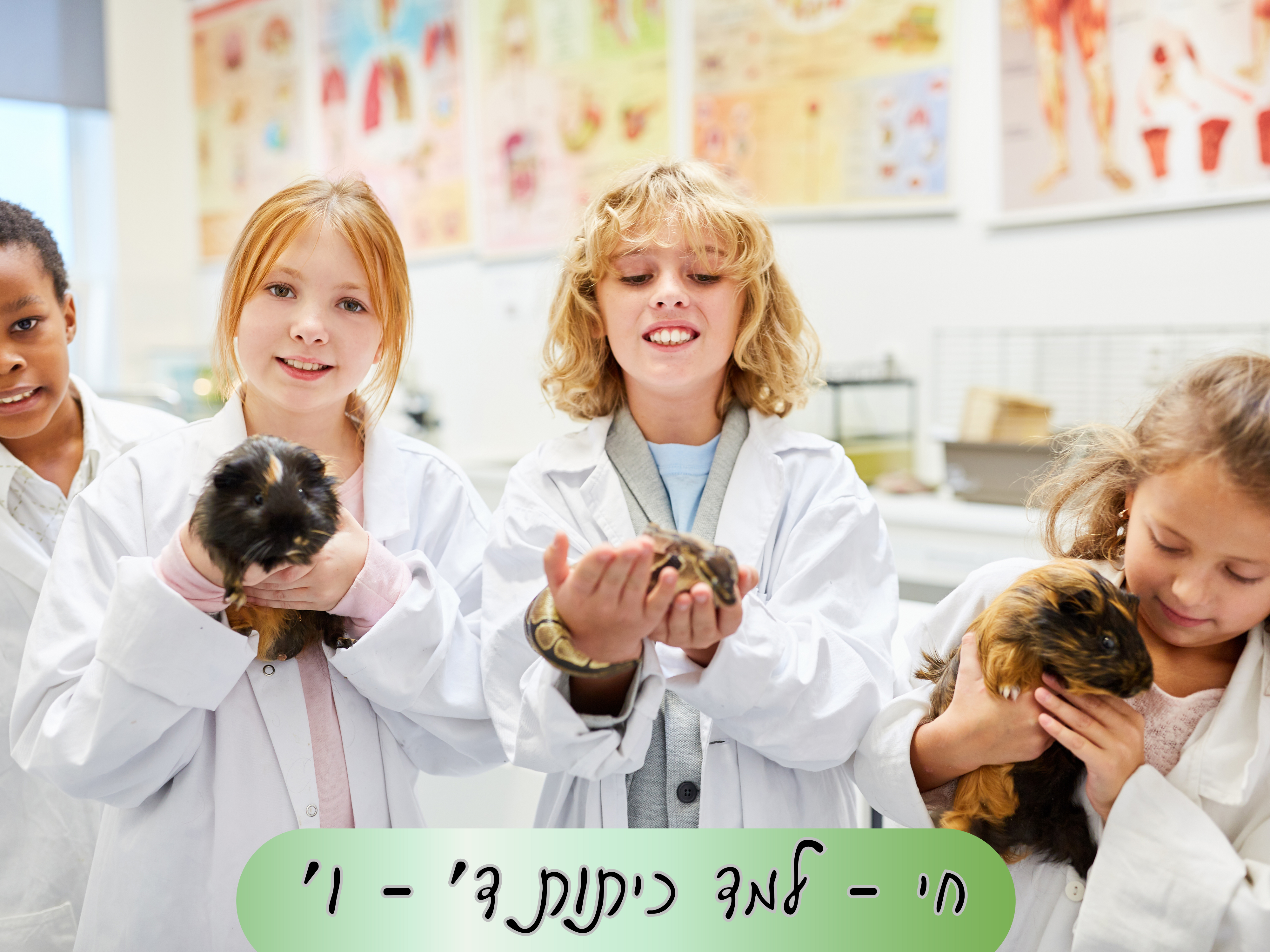 חי למד- כיתות ד' - ו'