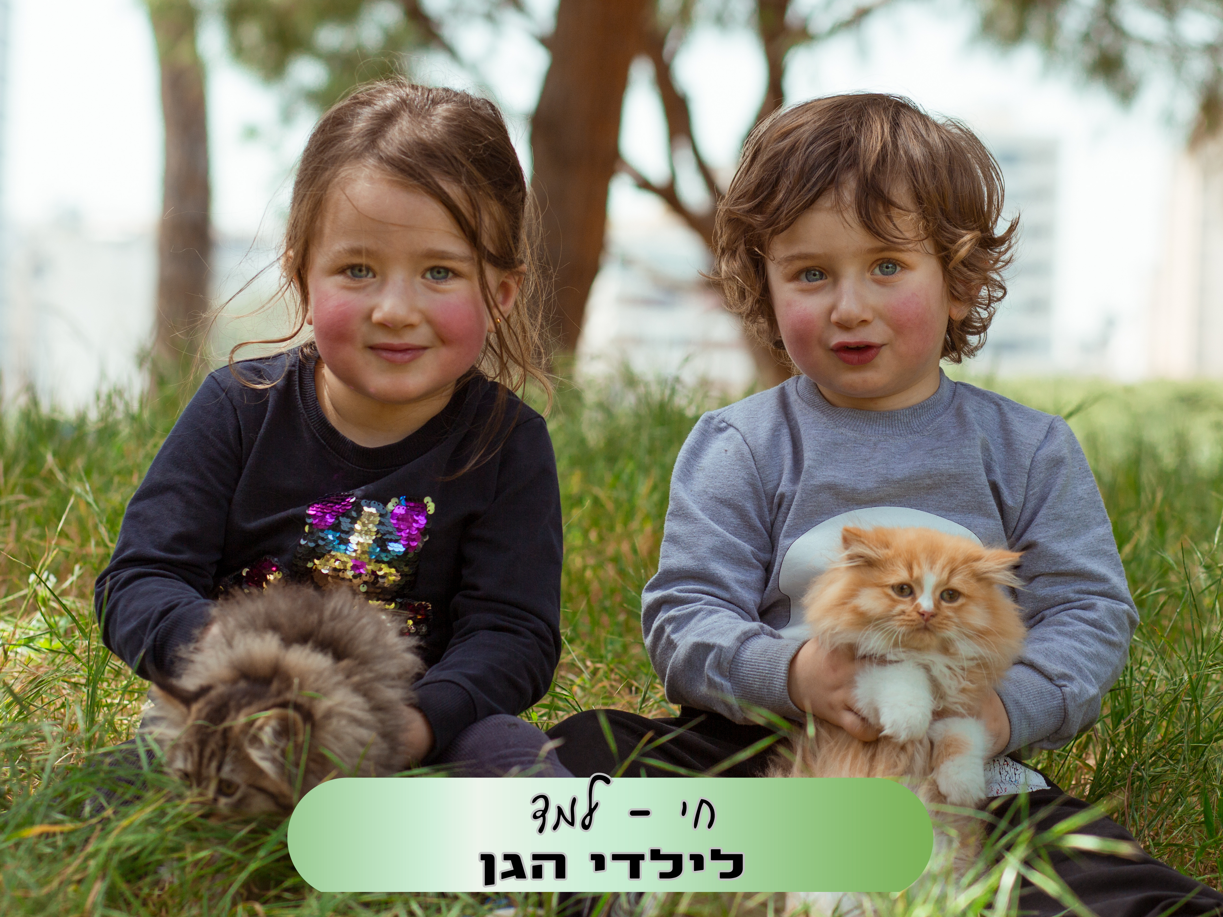 חי למד- לילדי הגן