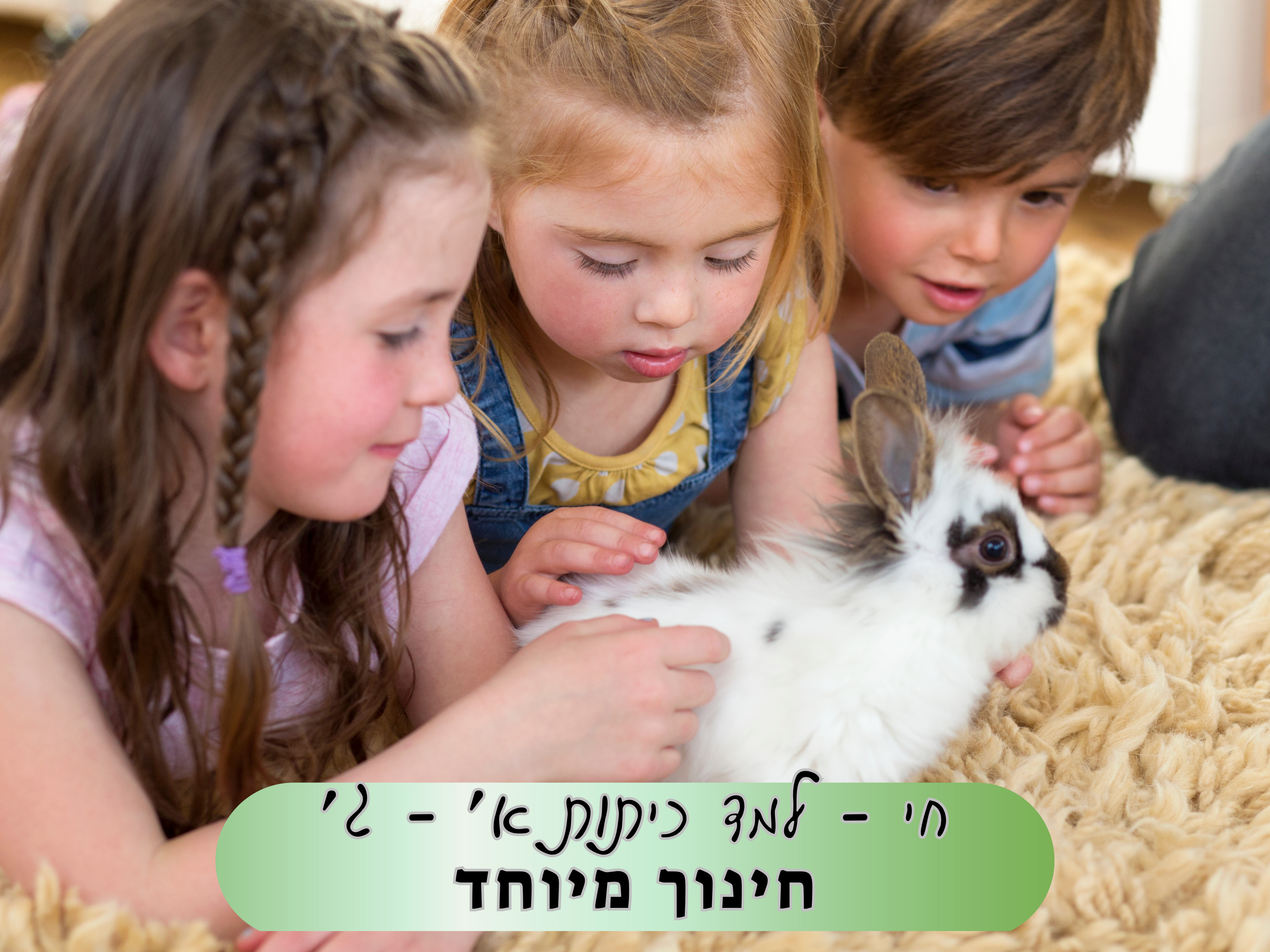 חי למד- כיתות א' - ג' חינוך מיוחד