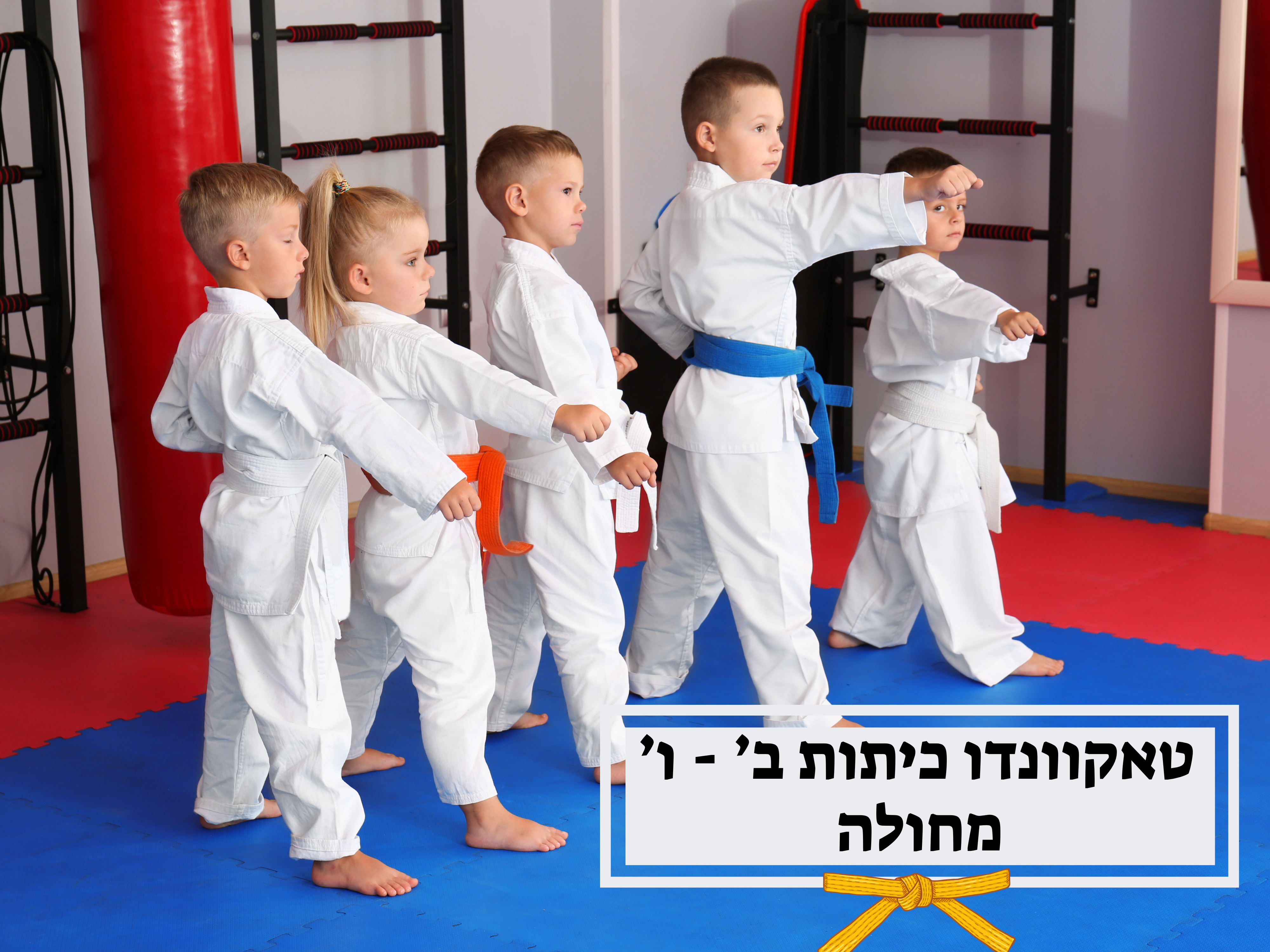 טאקוונדו - כיתות ב' - ו' - מחולה