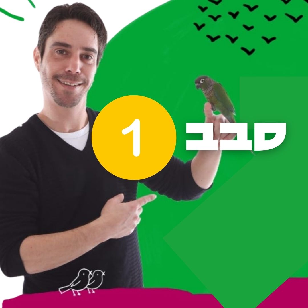 חיית מסיבות - סבב ראשון