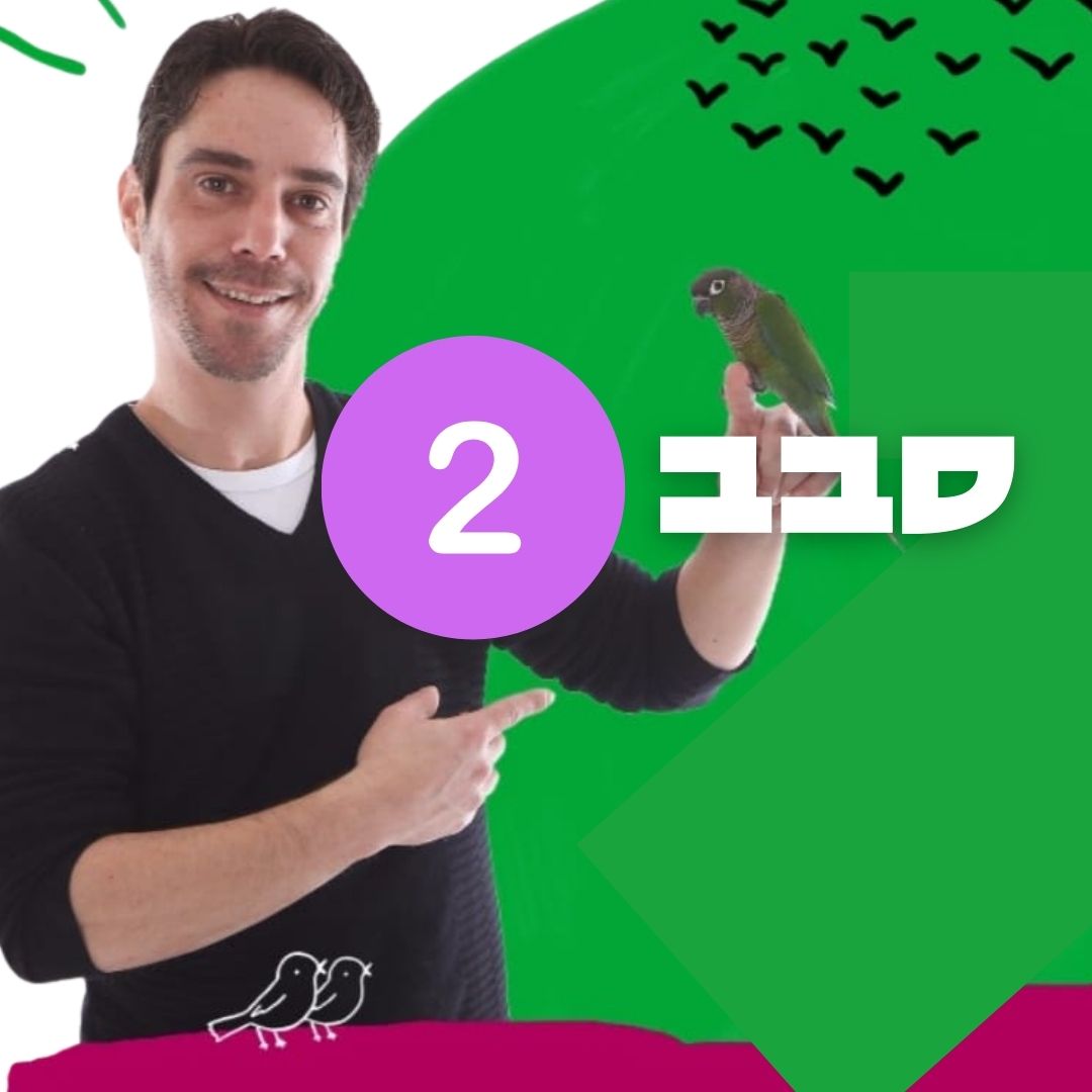 חיית מסיבות - סבב שני