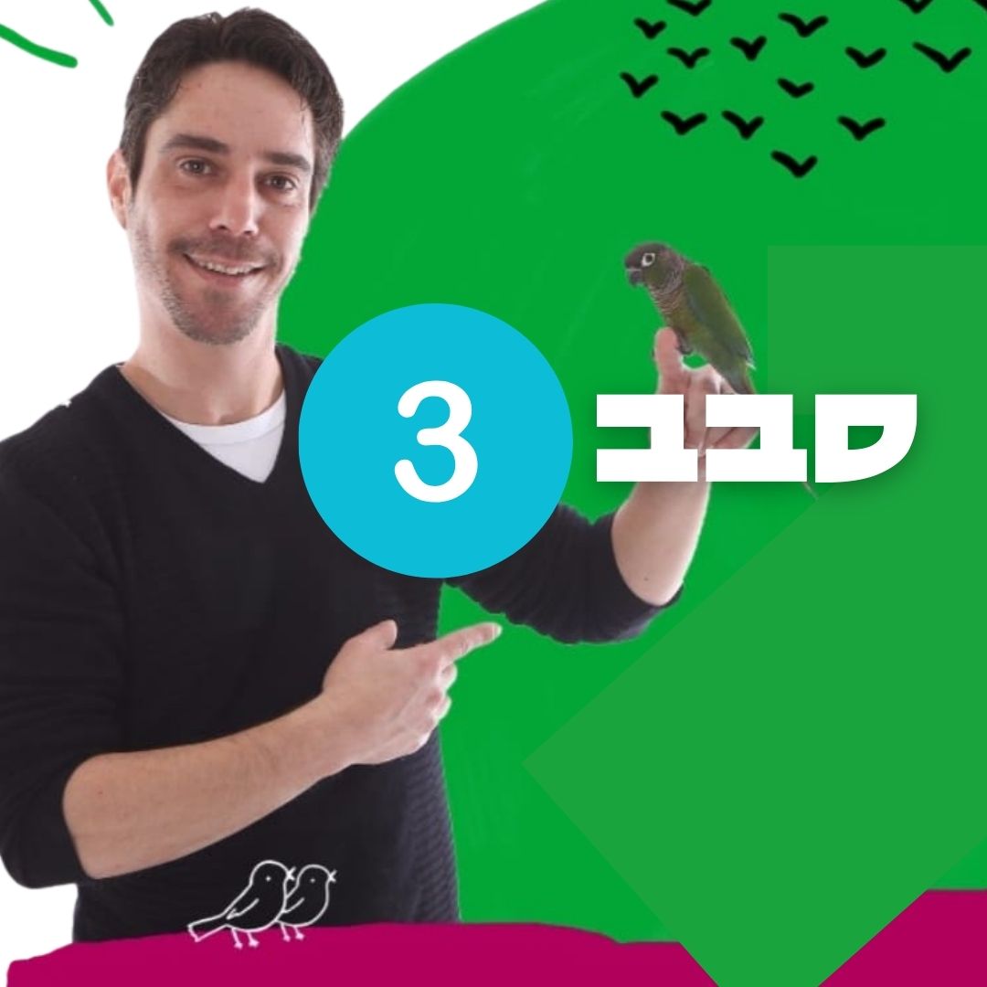 חיית מסיבות - סבב שלישי