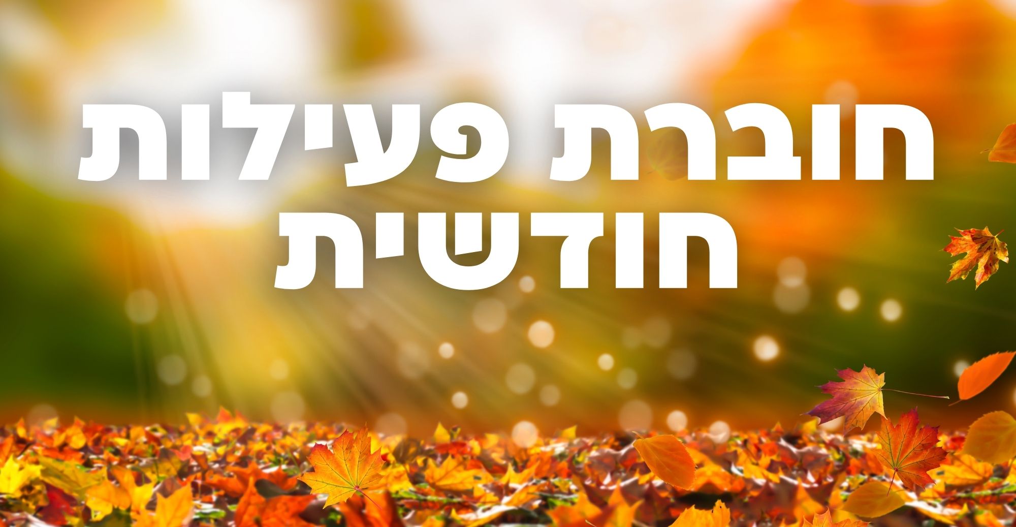 מידעון פעילות דצמבר 2025