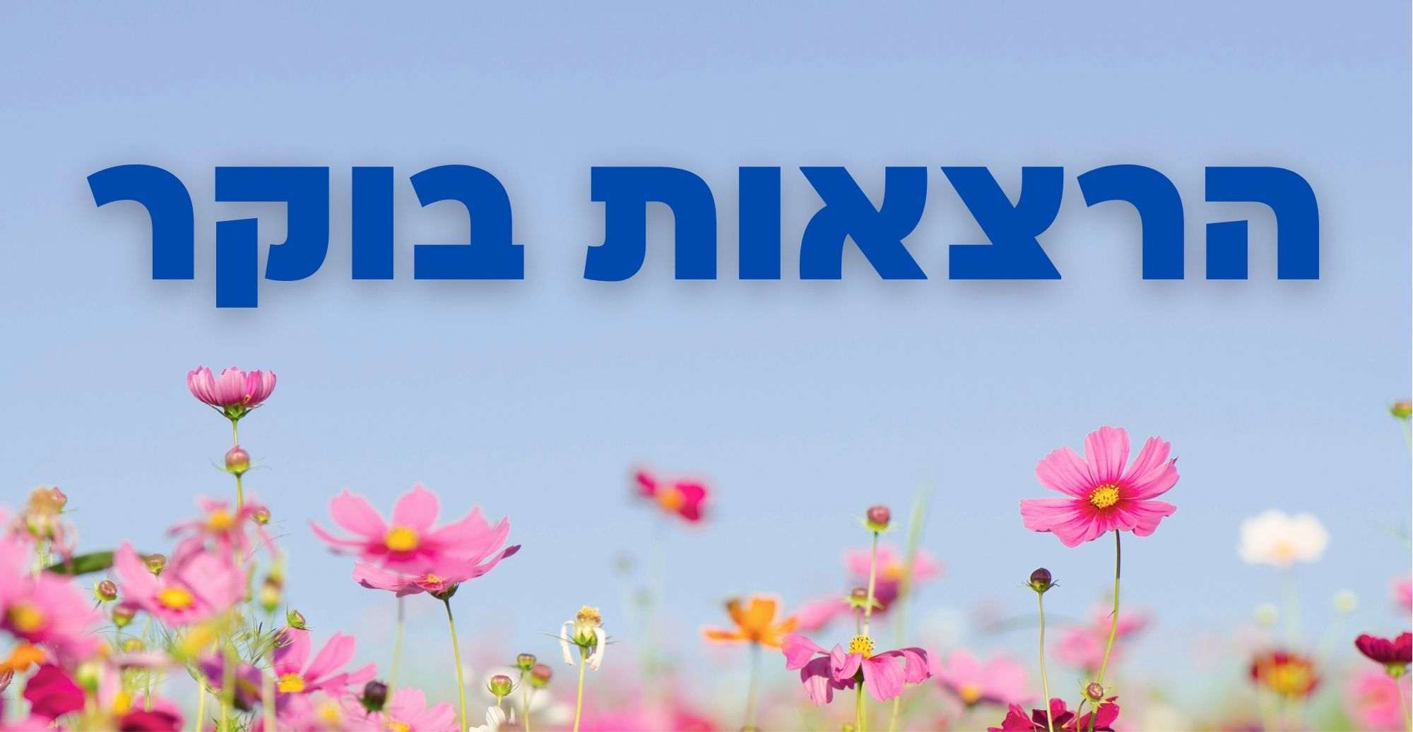 הרצאות