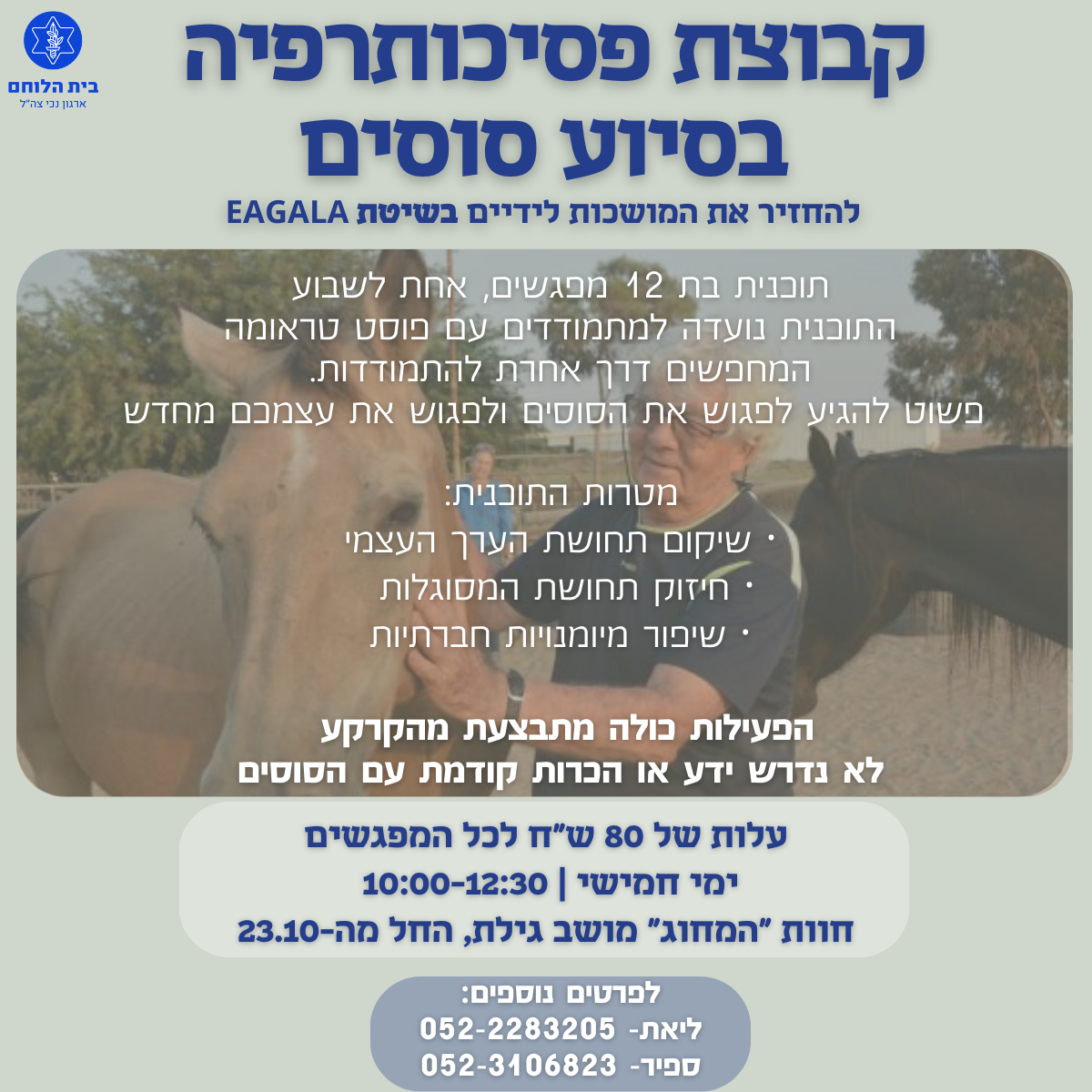 פסיכותרפיה באמצעות סוסים