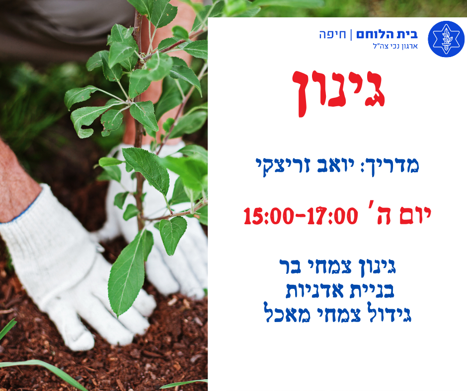 גינון