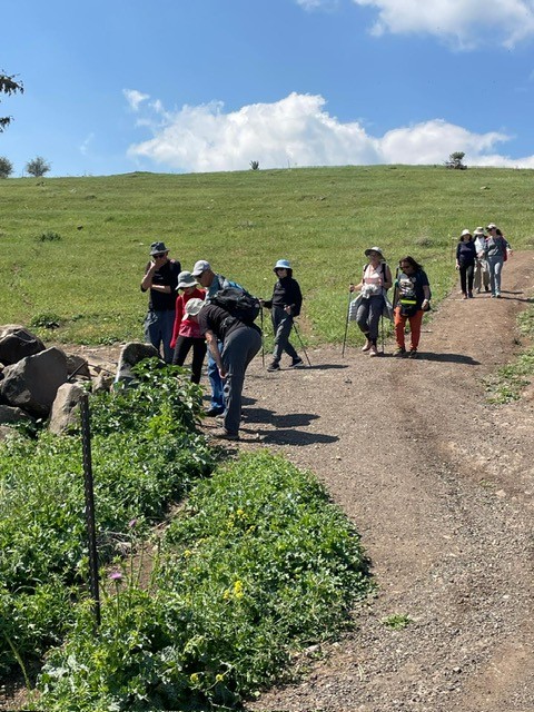 שביל ישראל לייט- "על דרך בורמה"