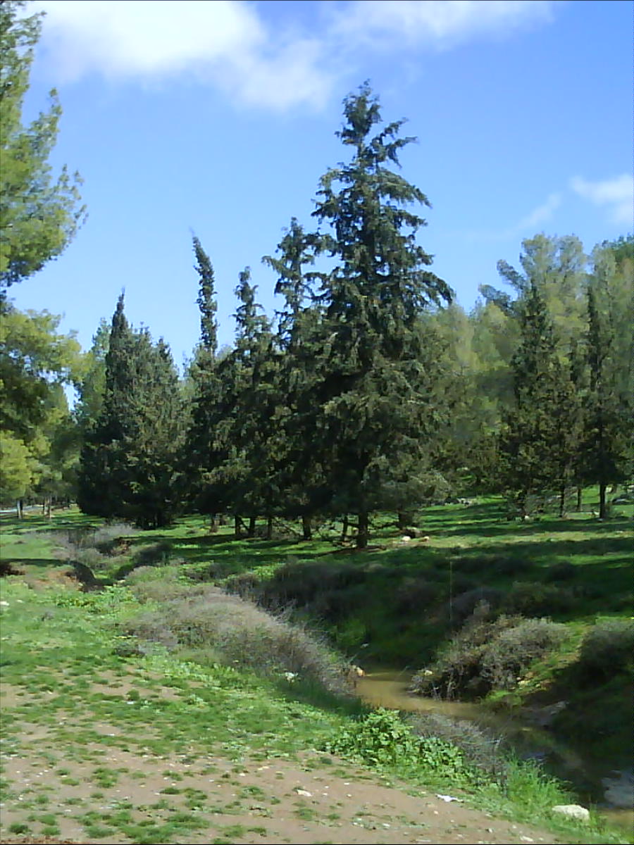 event_image