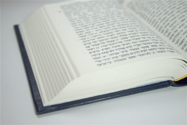 הרצאה – התנ"ך שלנו - ד"ר הרב איריס יניב